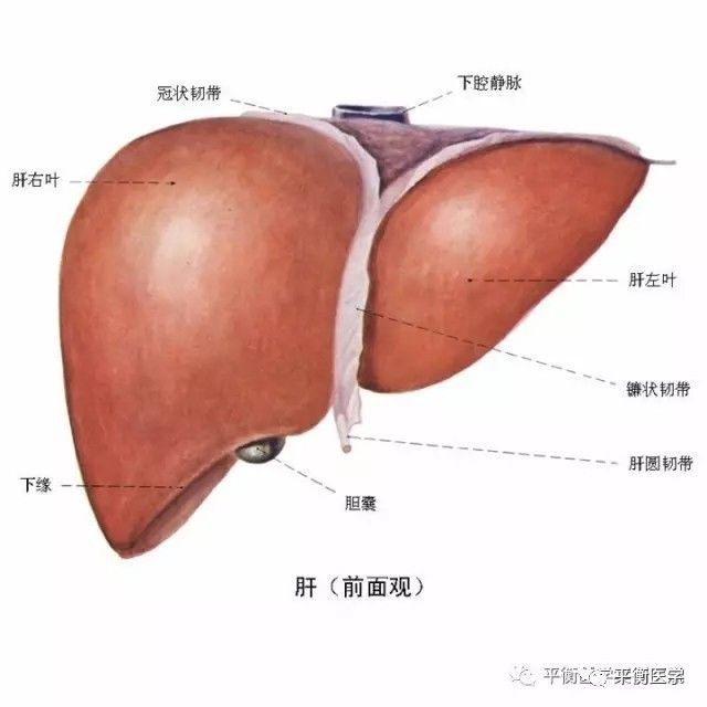 微信图片_20180508152720.jpg