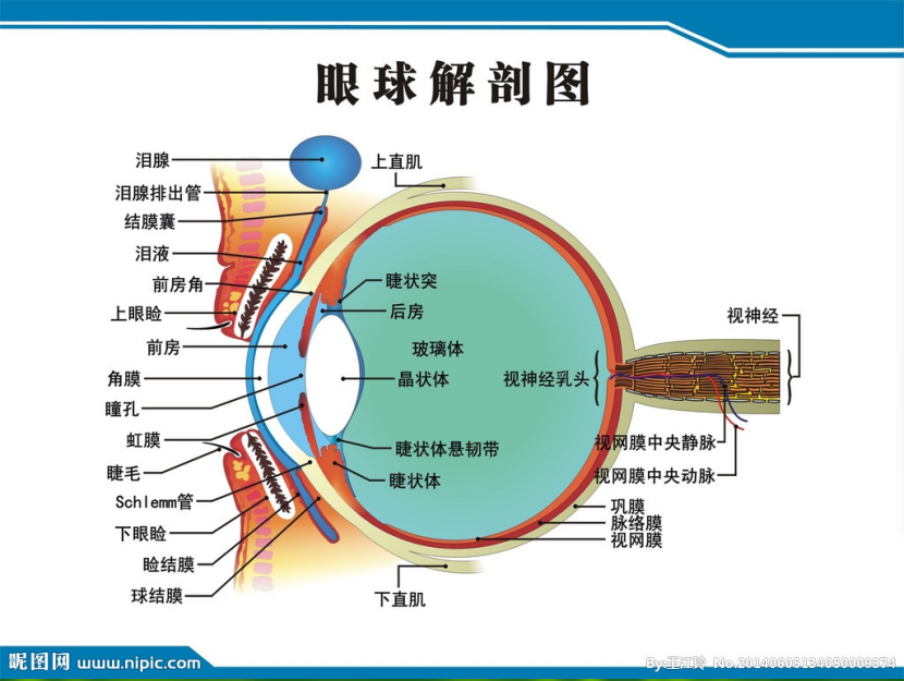 1529038587(1).png